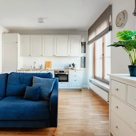 Premium Plac Litewski 7 公寓 卢布林